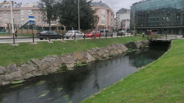 Río Maior a su paso por la zona de As Brañas, en Sada. |  LOC