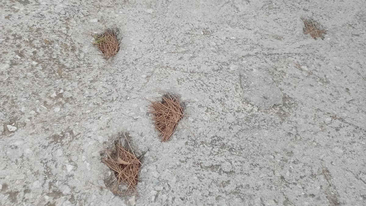 Detalle de las huellas de la calle Axarquía, en Pinares de San Antón, aún sin limpiar por los expertos.