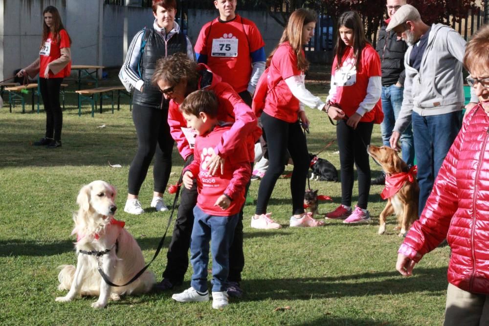 Así ha sido la Doggie Race en Benavente