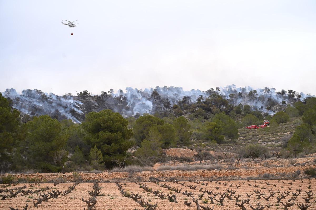 Fuego en Algueña: así está siendo el operativo para la extinción