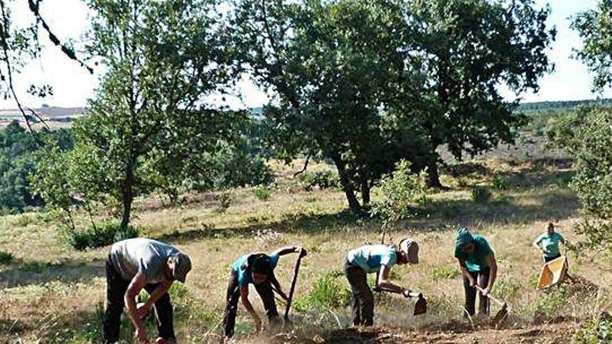 Trabajos de excavación realizados el pasado verano.