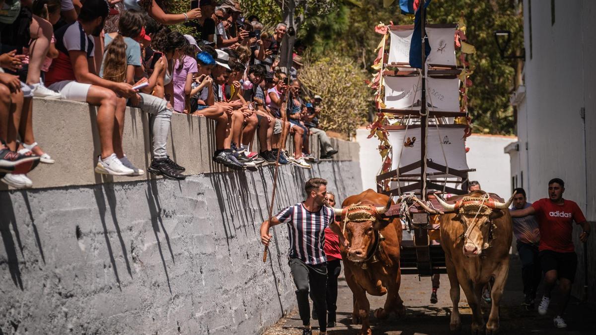 Las carreras de barcos de Valle Jiménez, en La Laguna.