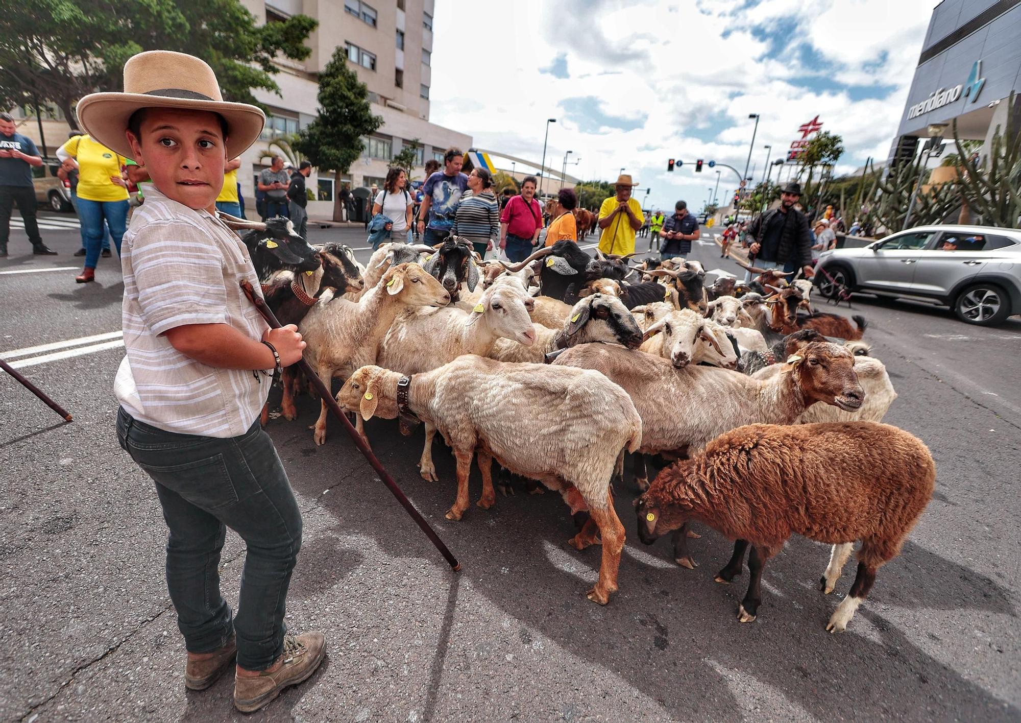 El sector agrario protesta en las calles de Santa Cruz