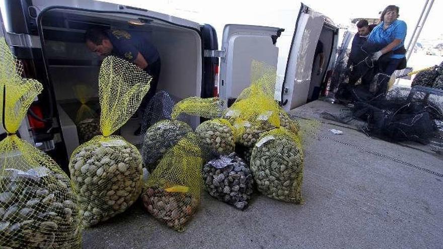 Un vehículo de la Cofradía de Cangas. // Fdv