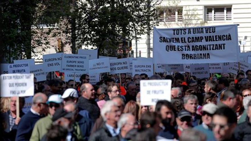 Cientos de citricultores claman en València por el futuro del sector