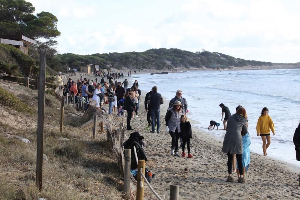 Primer baño del año en ses Salines.