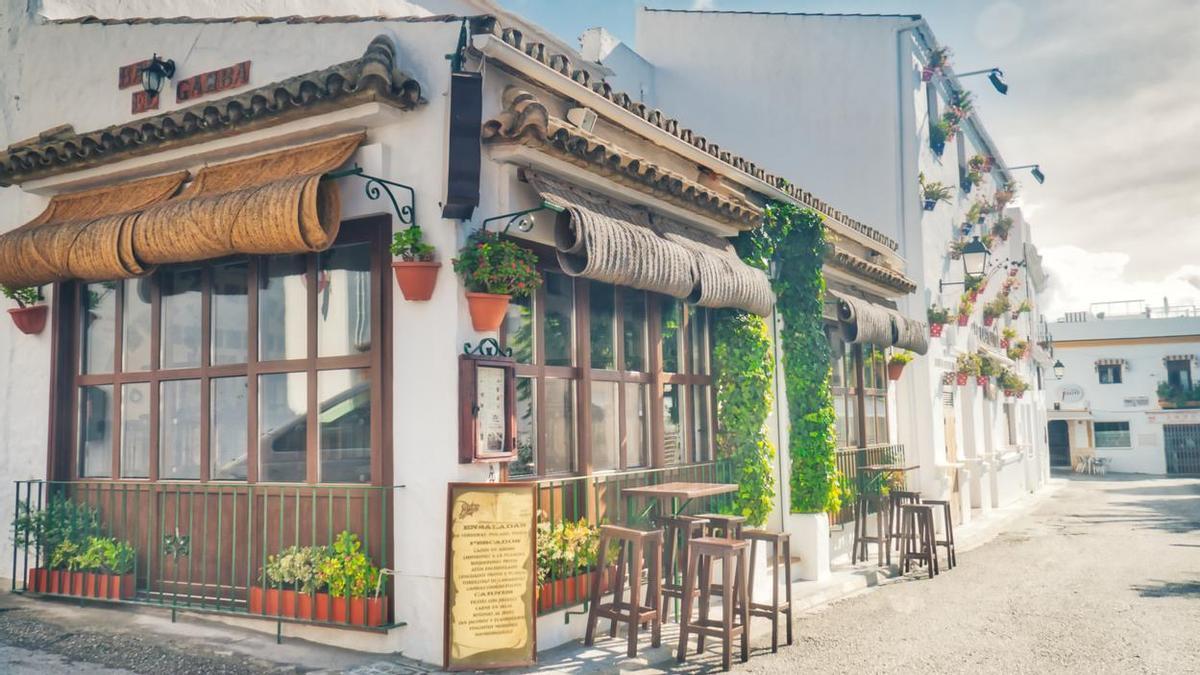 Conil, el destino gastronómico más interesante para visitar en septiembre: es tiempo de calamar