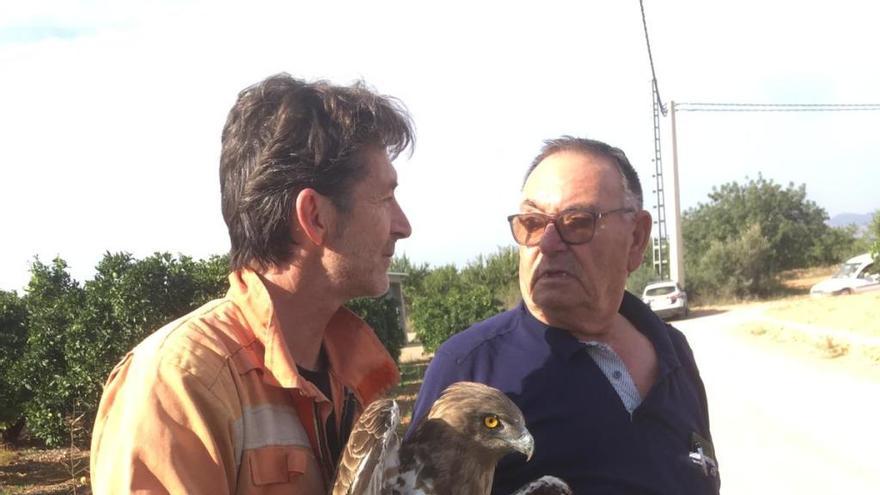 Rescatan un águila atrapada en una torre de alta tensión