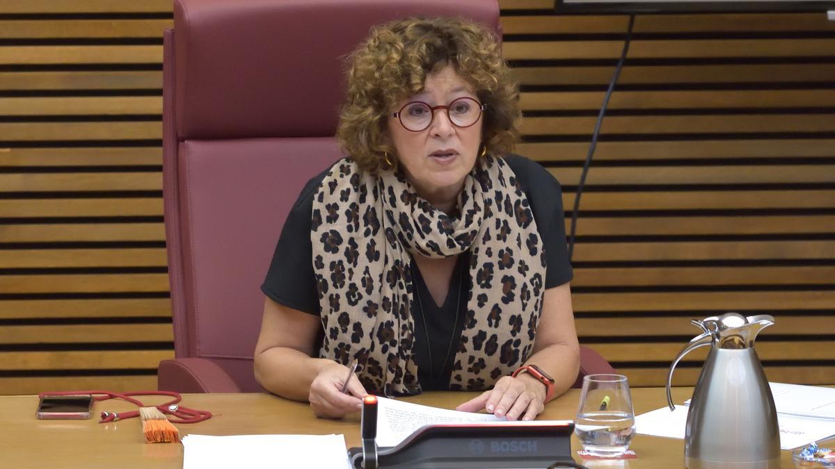 Intervención de la consellera Josefina Bueno, este martes, en las Cortes