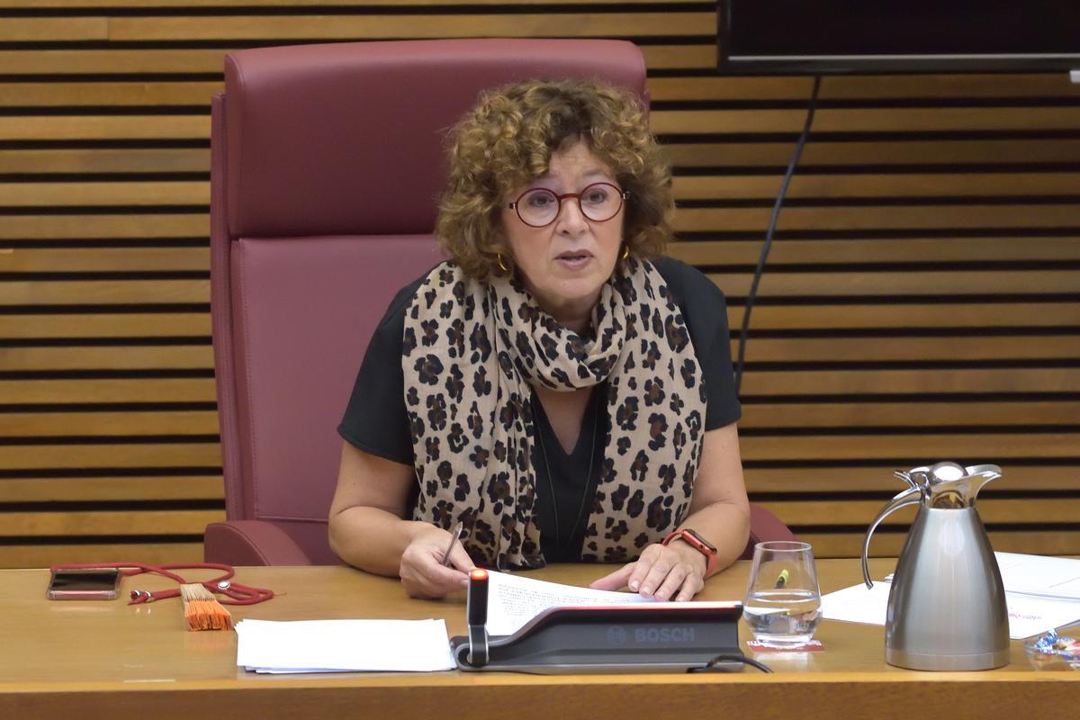 Intervención de la consellera Josefina Bueno, este martes, en las Cortes