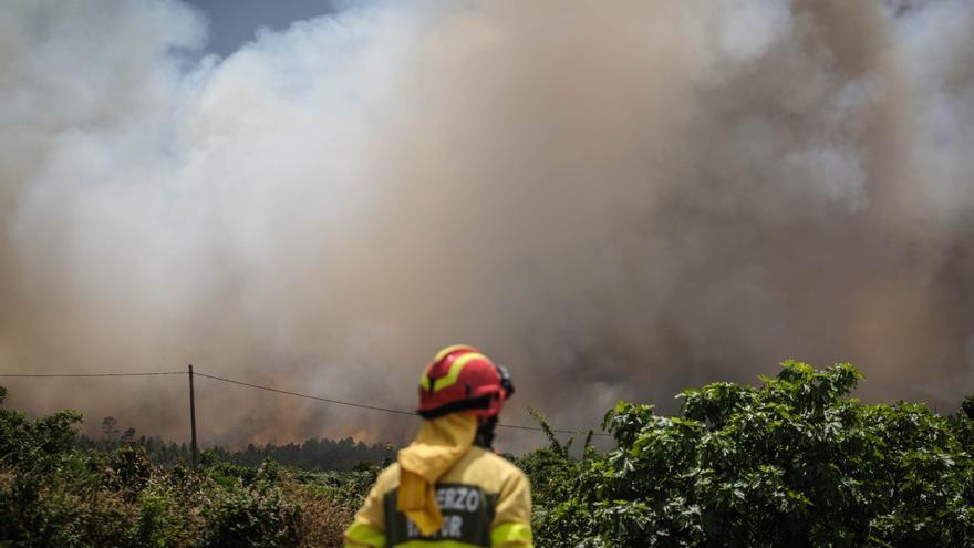 El incendio forestal de Tenerife, en imágenes