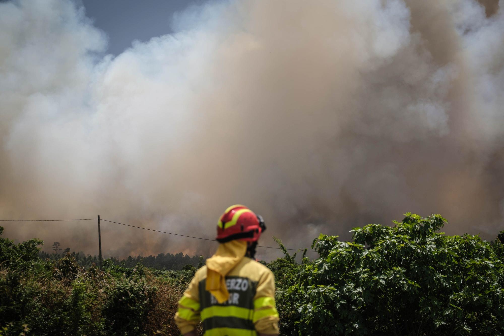 El incendio forestal de Tenerife, en imágenes