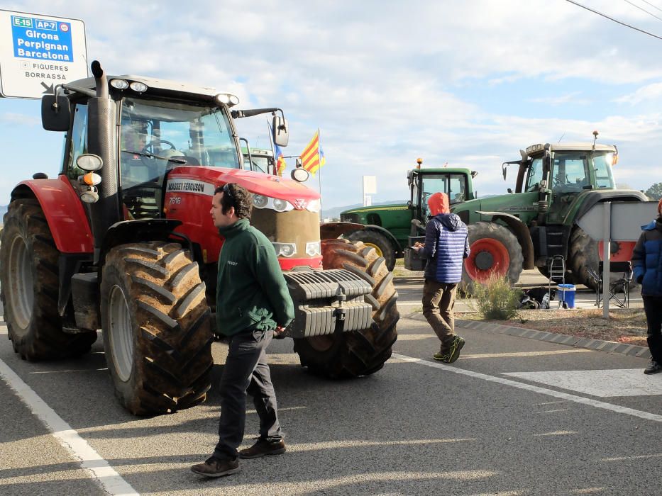 Manifestació a Borrassà