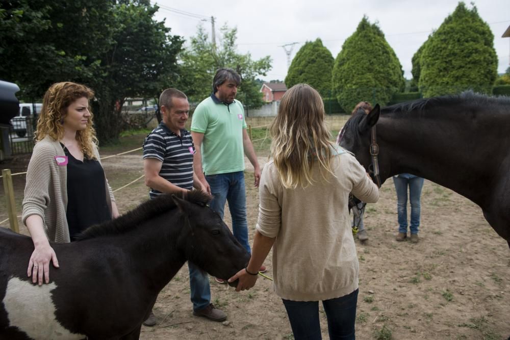 'Coaching' con caballos para empresarios