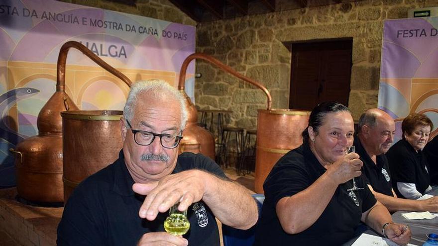 Valga busca la mejor caña