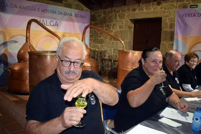 Valga busca la mejor caña
