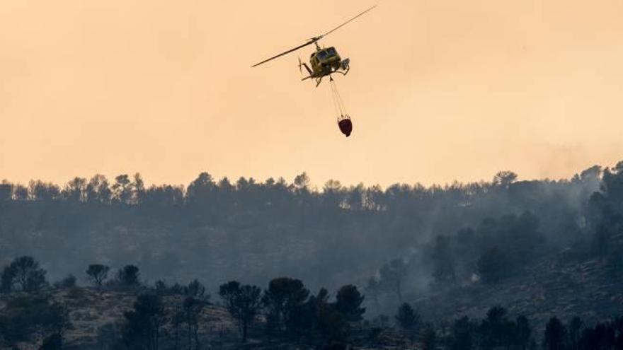 Algunas de las hectáreas afectadas por el fuego que asoló la sierra de Beneixama.