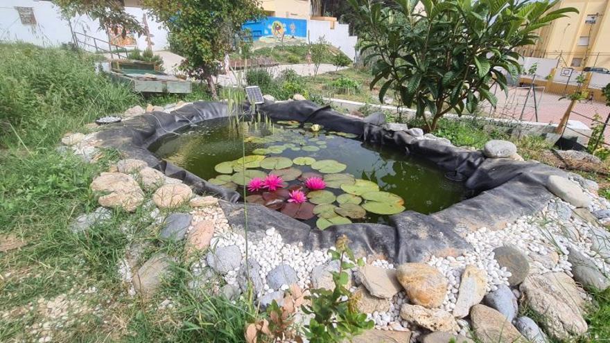 Jardín escolar en el CEIP Ortega y Gasset de Ceuta.