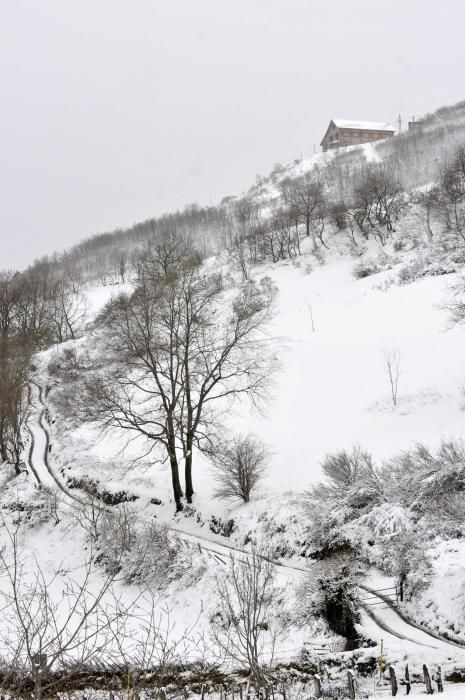 Temporal en Asturias