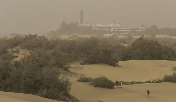 METEOROLOGÍA