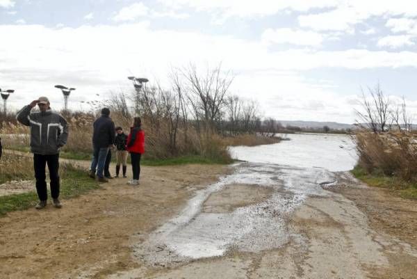 Fotogalería: La crecida del Ebro a su paso por Zaragoza