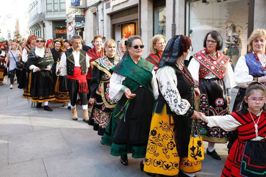 San Pedro 2016: Los trajes regionales toman Zamora