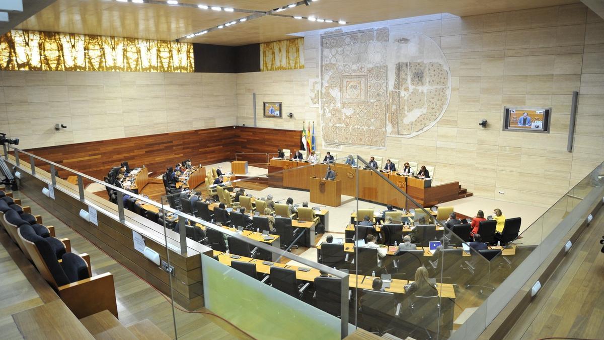 Pleno de la Asamblea de Extremadura.