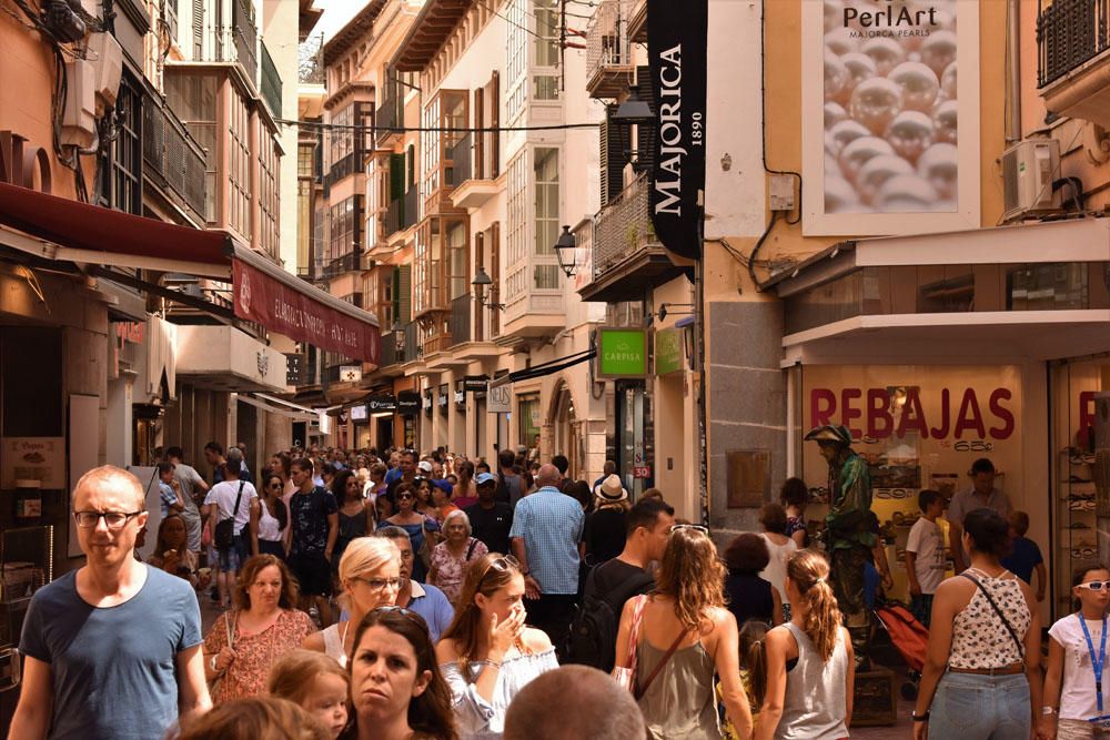 Wie oft bei bewölktem Himmel in der Hauptsaison, strömten auch am Dienstag (25.7.) zahlreiche Urlauber in die Balearen-Hauptstadt zum Sightseeing.