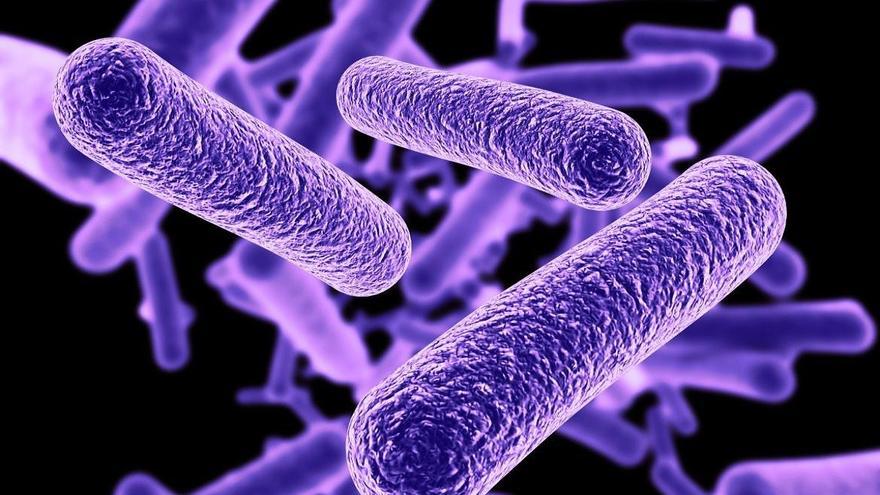 Los casos de legionelosis aumentan más de un 13% en España en el último año: &quot;La tendencia al alza es preocupante &quot;