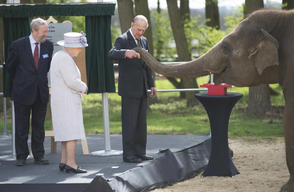 Isabel de Inglaterra da de comer a un elefante en un centro de cuidado de Reino Unido