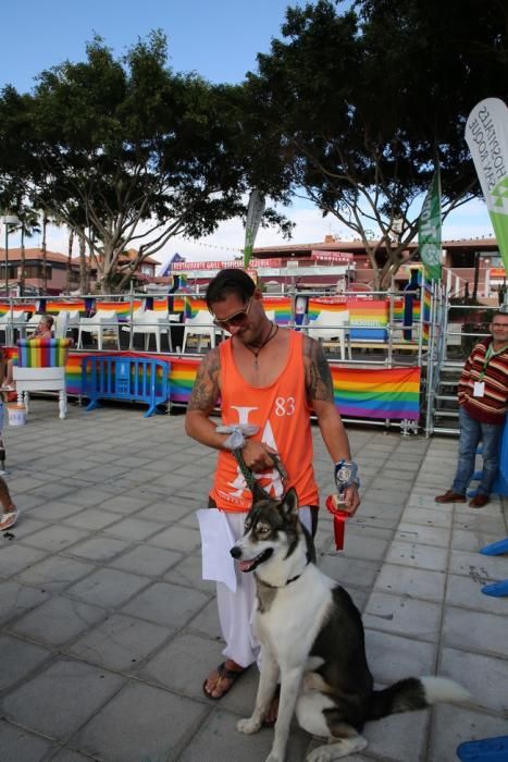 Desfile canino en el Orgullo Gay 2016