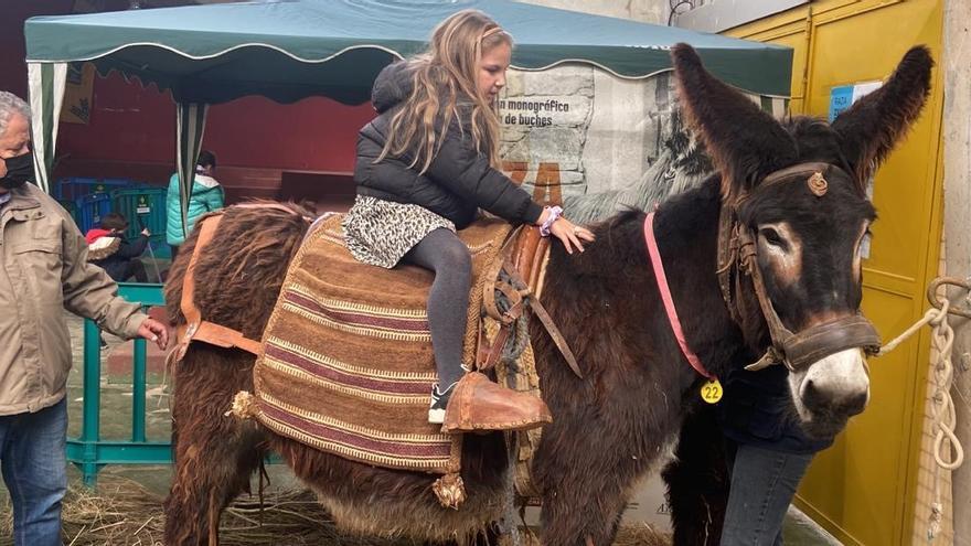 Una niña a lomos de un burro en la Feria de San Vitero.