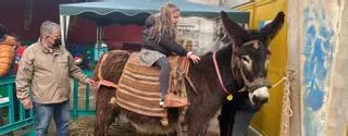 Así es el plan para salvar las razas en “peligro de extinción” en Zamora