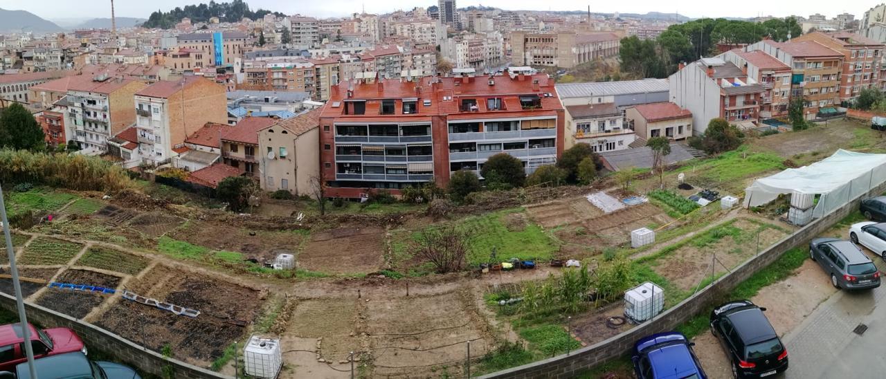 Imatge dels horts urbans al solar afectat per la sentència judicial