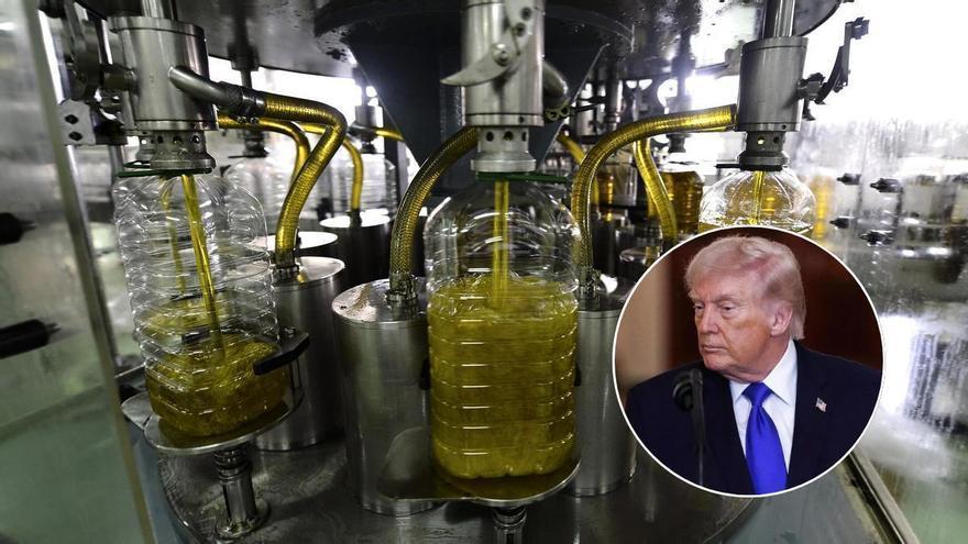 El varapalo judicial a los aranceles de Trump reabre la incertidumbre para las exportaciones extremeñas a EEUU