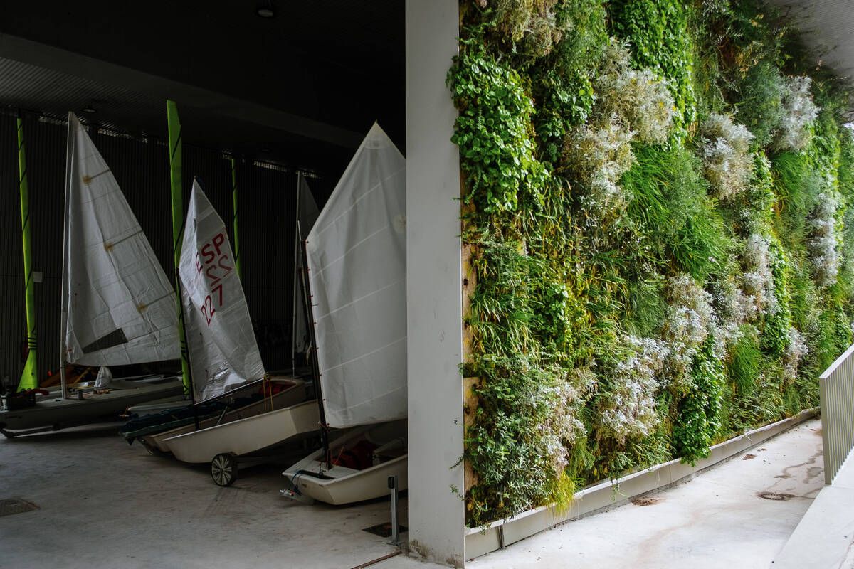 251010DMA_Bernardo A (225269335).jpg