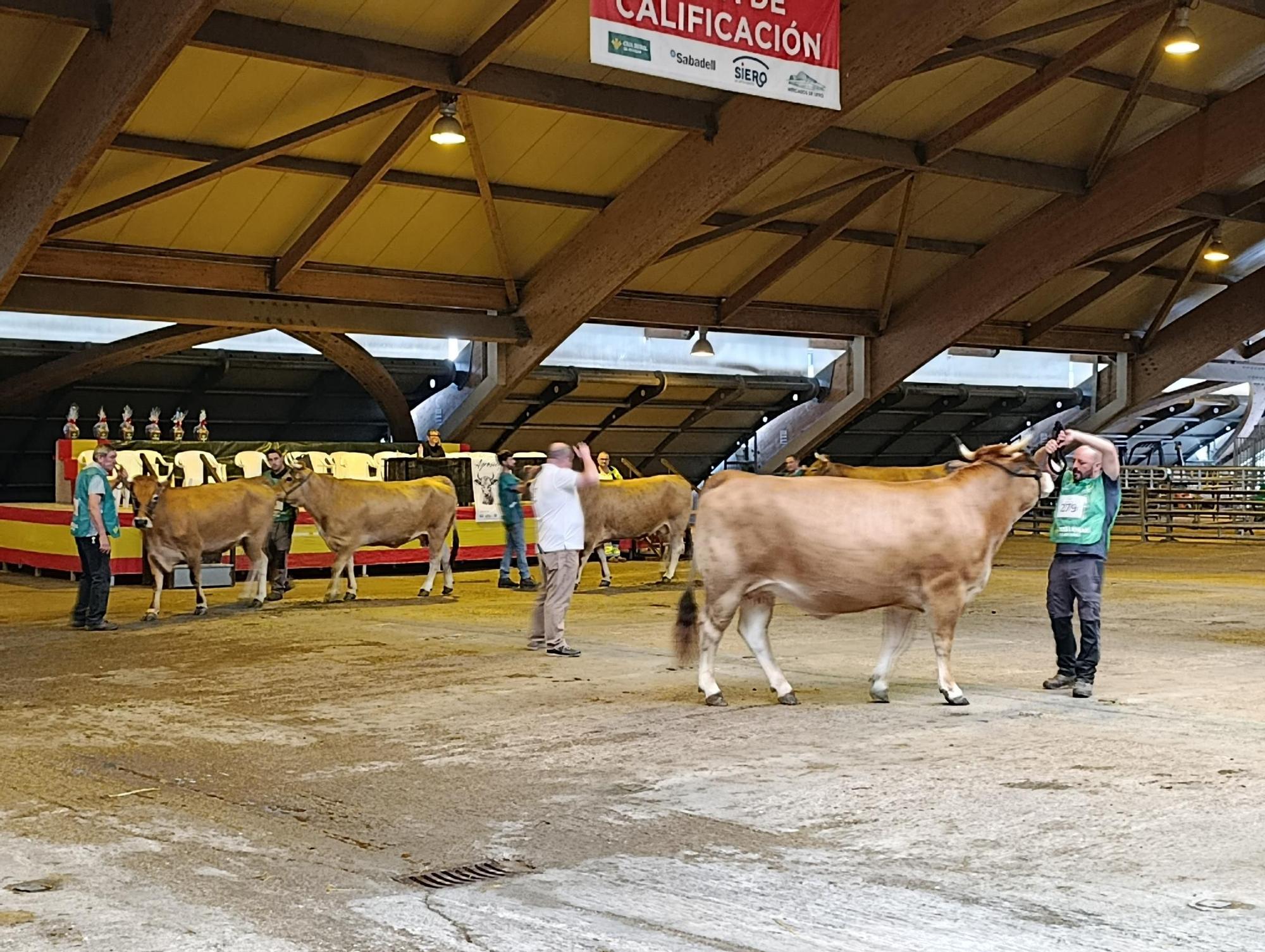 Arranca Agrosiero en La Pola