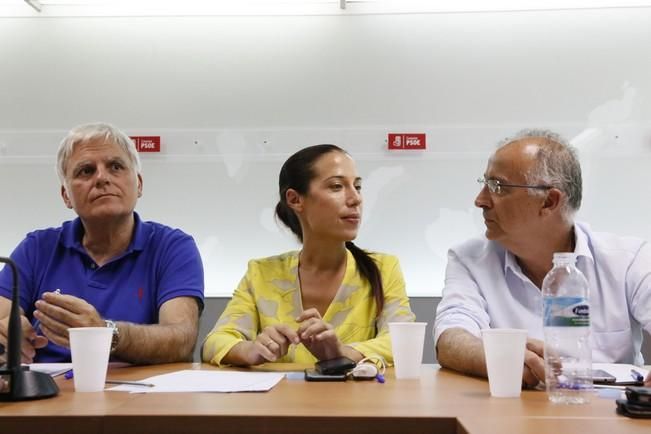 Delia Padrón Comisión Ejecutiva Regional del PSOE de Canarias , Miguel Ángel Pérez ,  Patricia Hernández y Julio Cruz entre otros