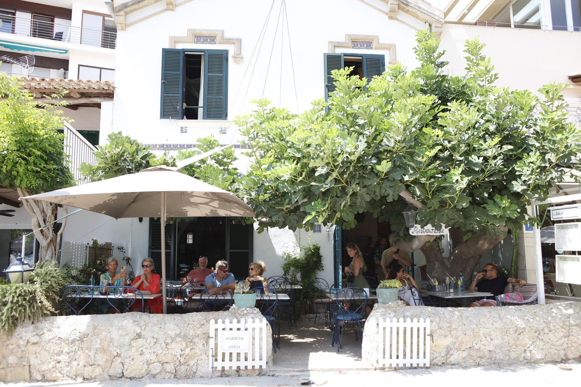 Ausflug nach Port de Pollença – der entspannte Urlaubsort im Norden von Mallorca