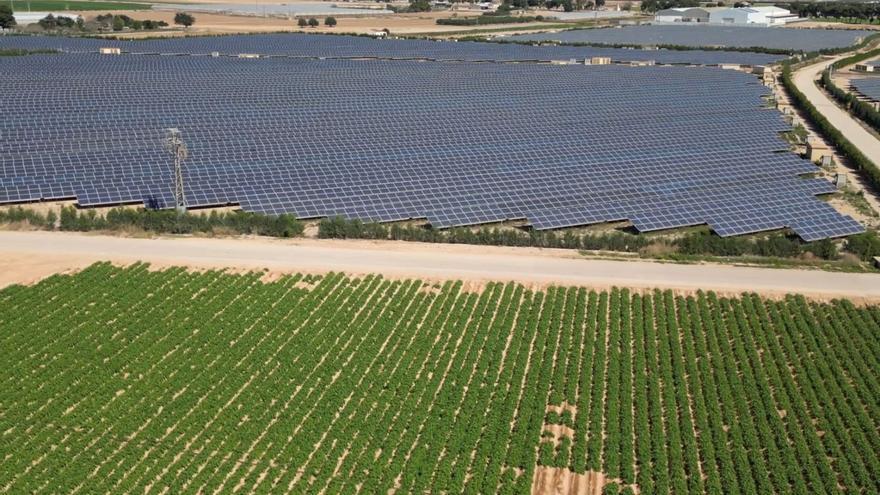 Imagen de placas solares en el Campo de Cartagena.  | F.I.