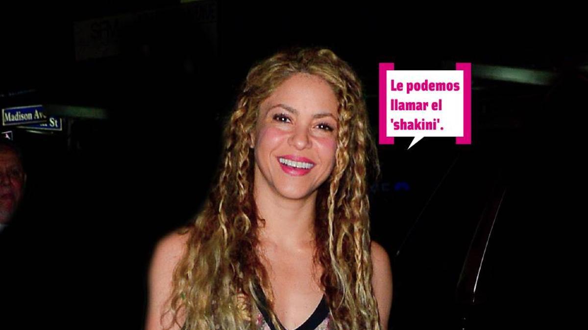 Shakira con trencitas posando el la calle