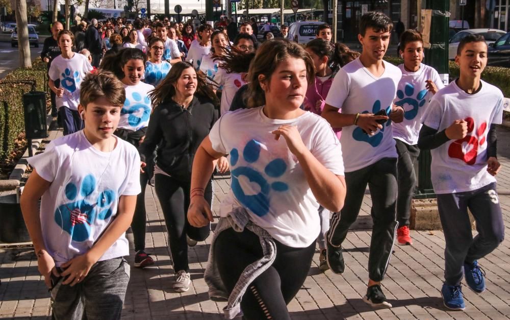 Carrera solidaria de Cotes Baixes en Alcoy