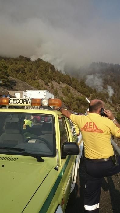 Incendio forestal en la zona de Montaña de Jedey