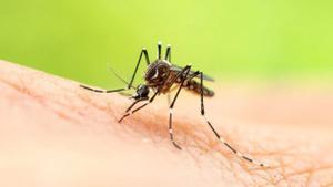 El cambio climático está extendiendo la malaria a nuevos países