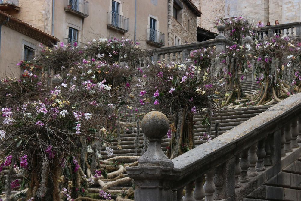 Girona, Temps de Flors 2019