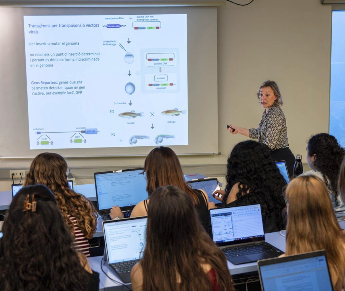 Les dones ja són gairebé la meitatdels professors universitaris