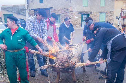 Matanza del cerdo en Tábara