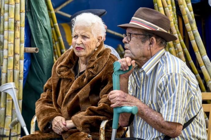 08-12-19 GRAN CANARIA. JINAMAR. JINAMAR. TELDE. Fiesta de la Inmaculade Concepcion y de la Caña Dulce de Jinamar, feria de ganado, procesión.. Fotos: Juan Castro.  | 08/12/2019 | Fotógrafo: Juan Carlos Castro