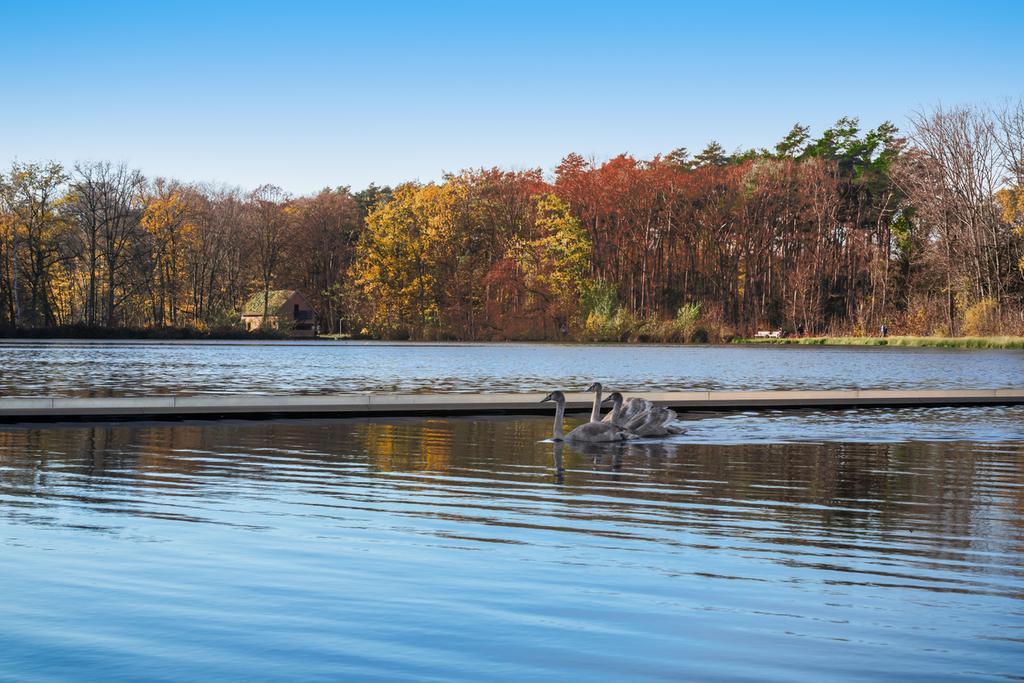 De Wijers: un paraíso para los amantes del cicloturismo.