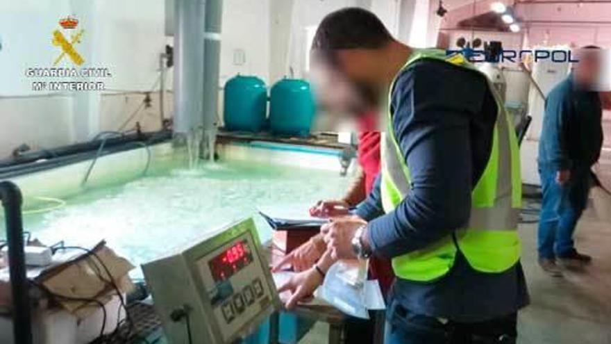 Los agentes, en una de las instalaciones registradas durante una de las operaciones.